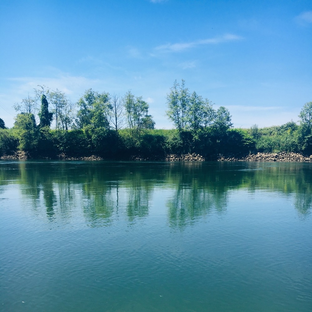 Meet your Posher, Ella